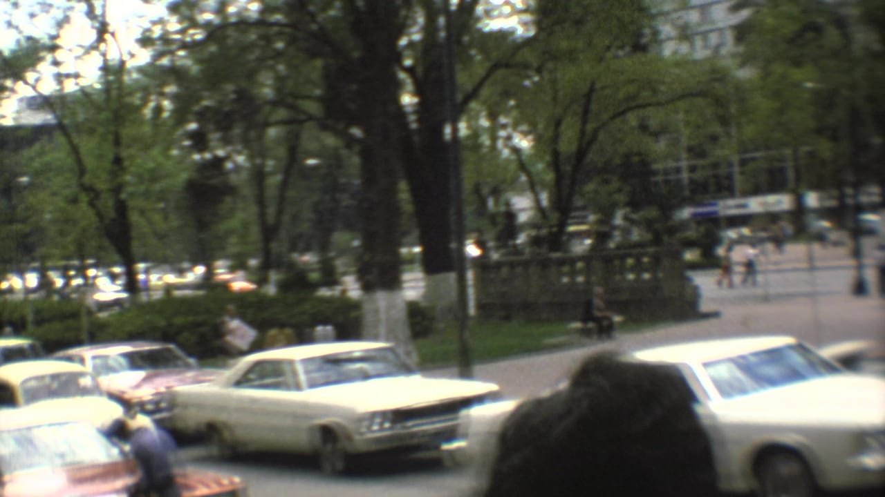 White sedan and other cars beside a tree-lined sidewalk with pedestrians in the distance.