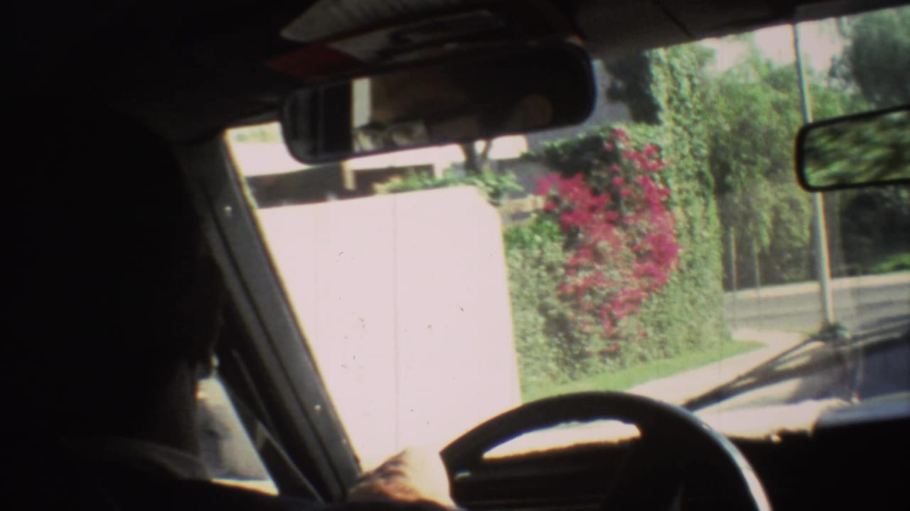 View from inside a car with steering wheel, mirror, driver silhouette, and flowering roadside greenery ahead.