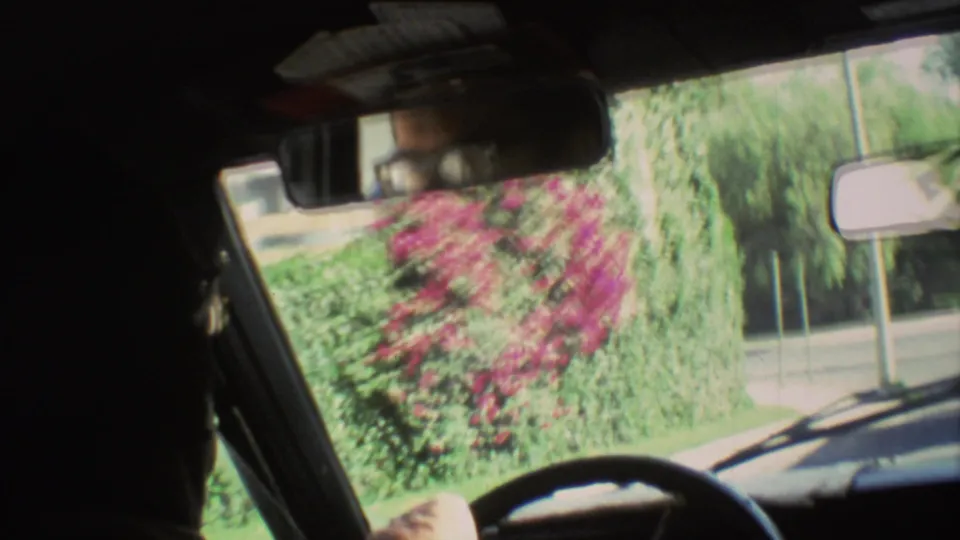 Interior driving view in Mexico City with dashboard shadows, rearview mirror, side mirror, steering wheel, and sunlit green and pink roadside plants.