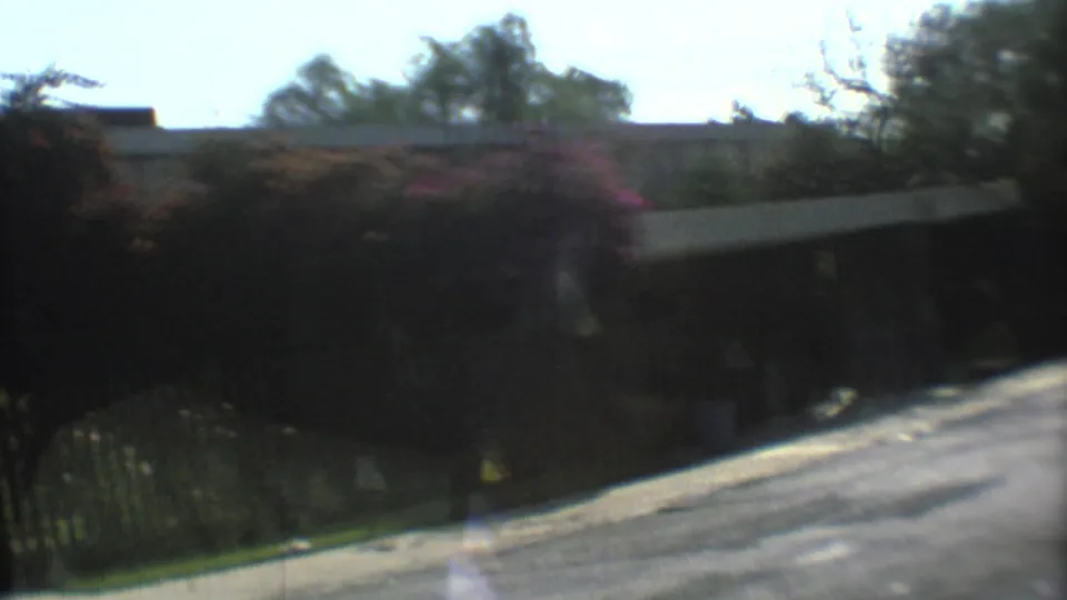 Mexico City driving view through the windshield with motion blur, dashboard edge, road, wall, trees, and shadowed flowering greenery near the curb.