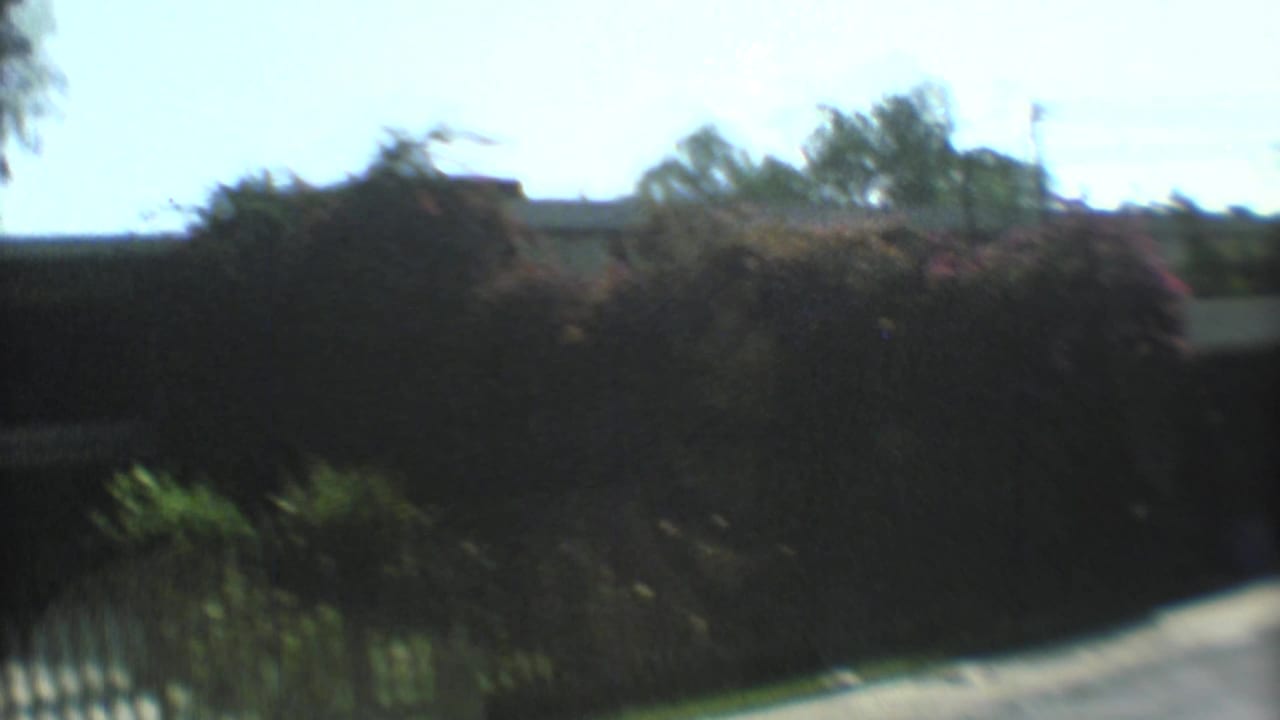 1973 Mexico City home-movie frame looking from a vehicle toward dense greenery, a path or driveway, and roadside fencing.