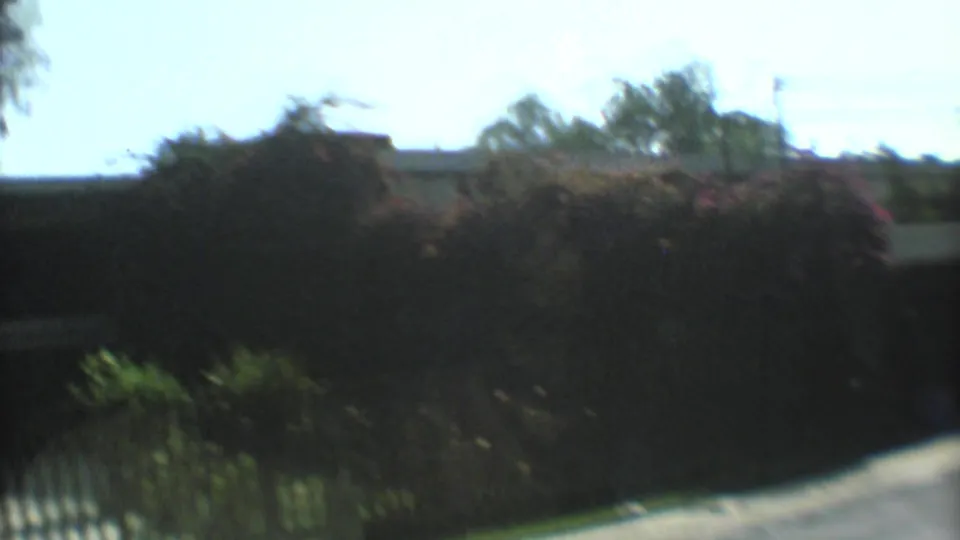 1973 Mexico City home-movie frame looking from a vehicle toward dense greenery, a path or driveway, and roadside fencing.