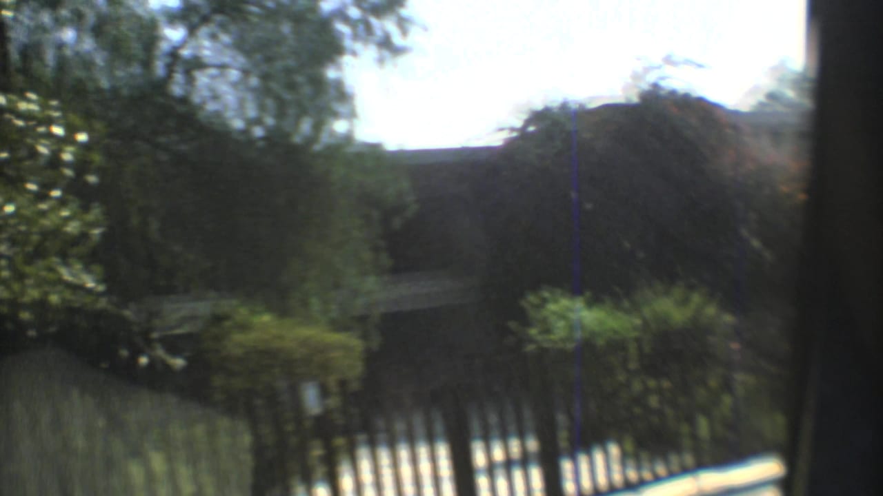 Blurred roadside greenery and fencing seen from inside a moving vehicle.
