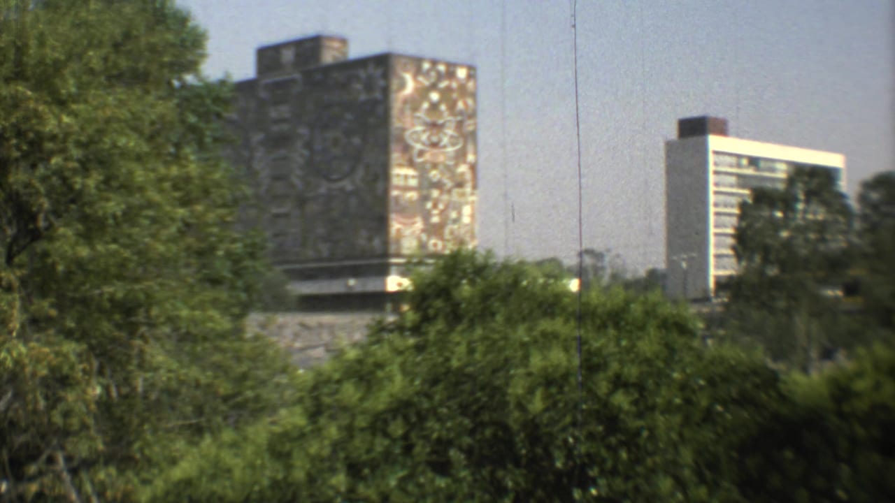 Mosaic-faced building partly screened by trees with a high-rise in the background.