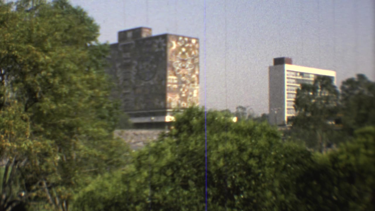 Final Mexico City park view with foreground greenery, the mosaic-covered landmark, and a high-rise building behind it.