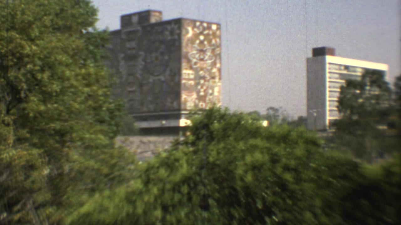 Distant building with a large face-like mural partly screened by trees.