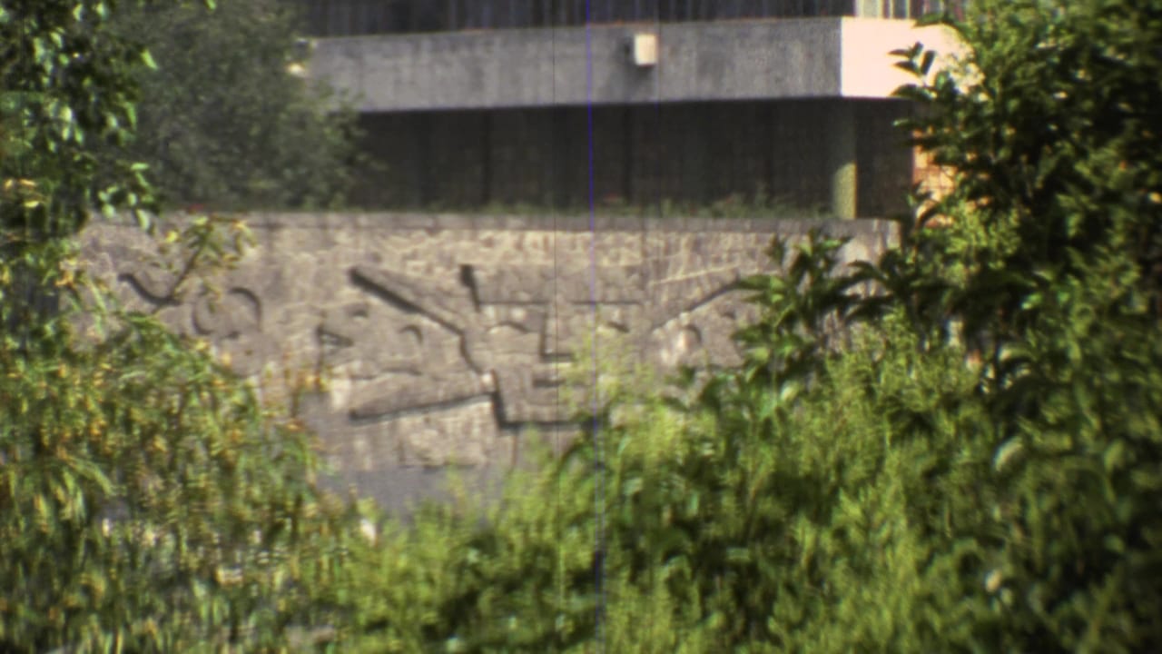 Mid-zoom frame in Mexico City showing a textured exterior wall, dark window band, and leafy foreground trees.