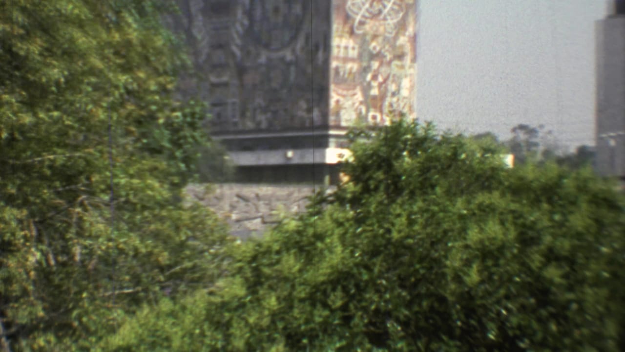 1973 Mexico City view through trees toward a tall painted building face beside a pale modern block under a clear sky.