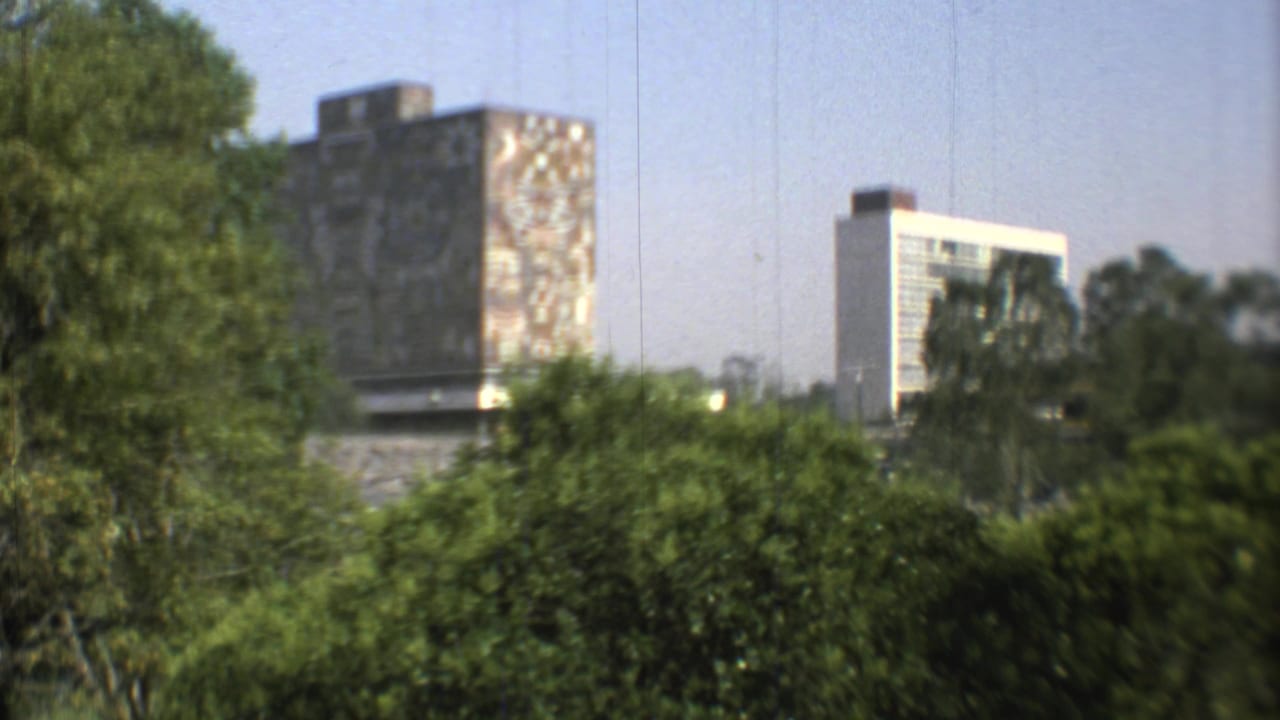 1973 Mexico City home-movie view of modern buildings seen above dense green trees, with a high-rise tower at right.
