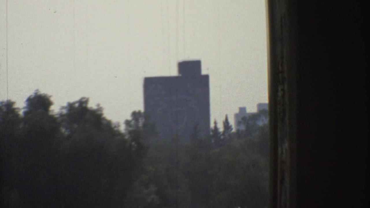 A roadside view frames a distant rectangular building through trees and a dark foreground edge in Mexico City.
