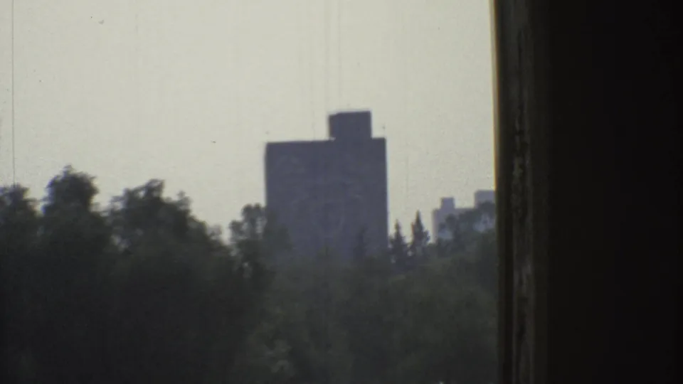 A roadside view frames a distant rectangular building through trees and a dark foreground edge in Mexico City.