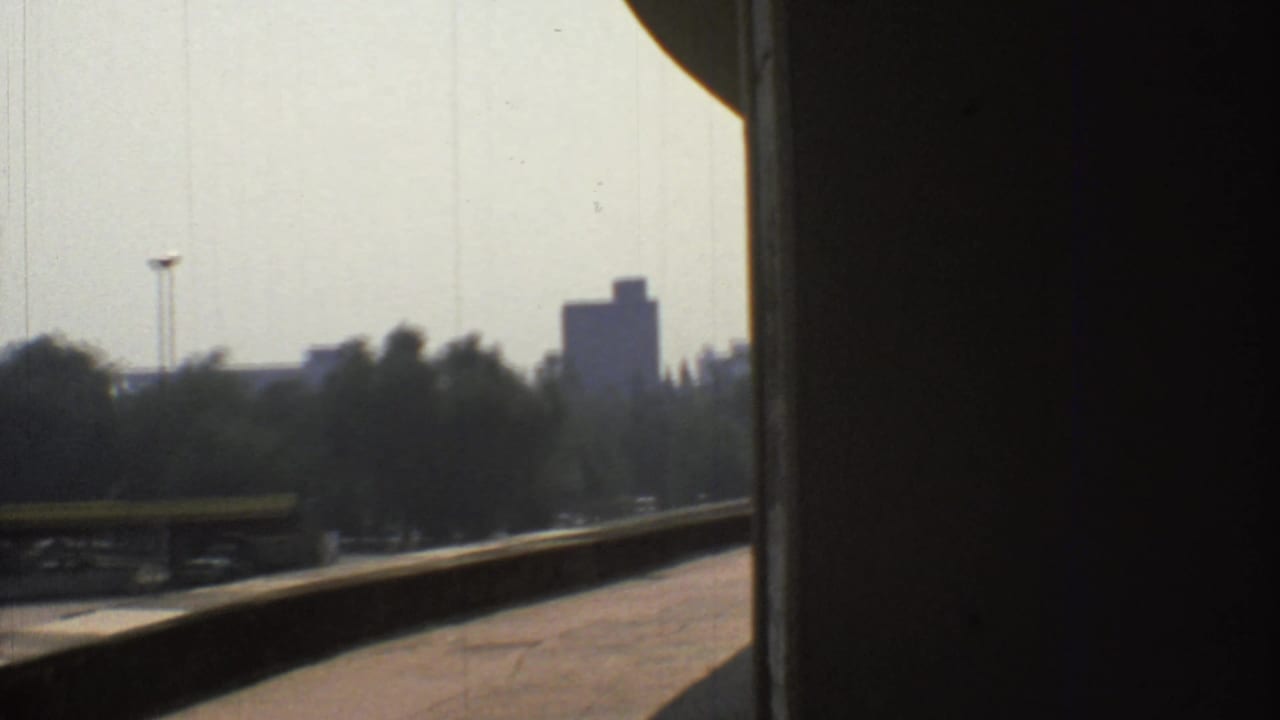The final frame shows a road edge beneath shadow with trees and distant buildings in 1973 Mexico City.
