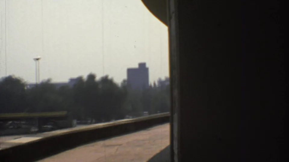 The final frame shows a road edge beneath shadow with trees and distant buildings in 1973 Mexico City.