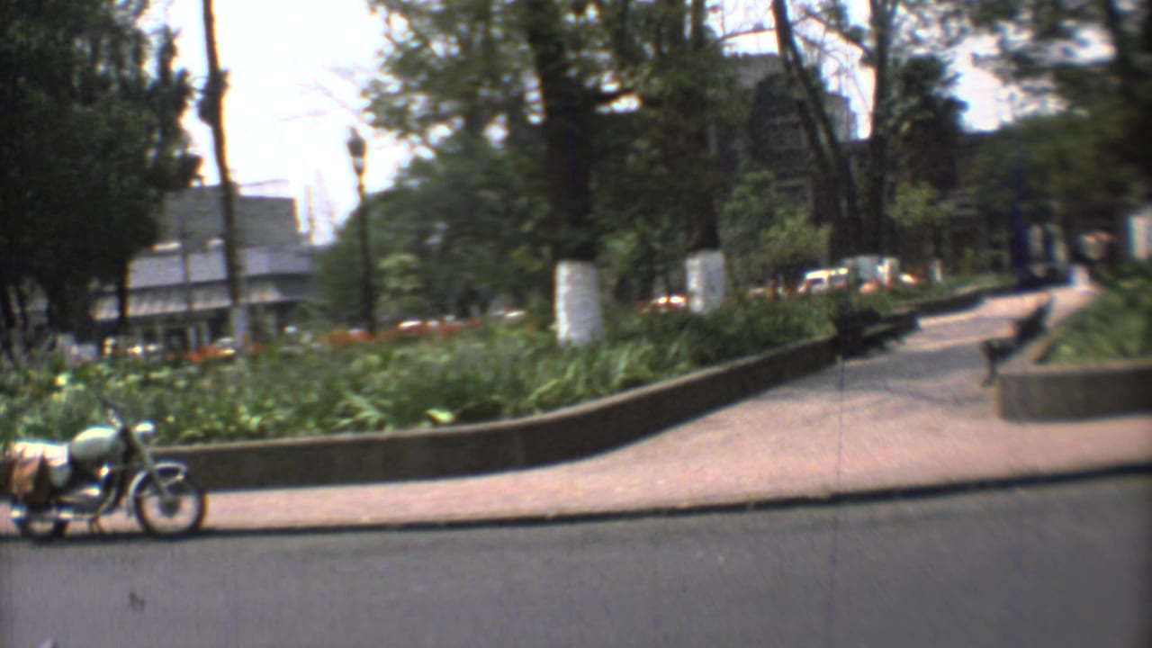 1973 Mexico City curbside scene with a motorcycle, planted median, tall trees, and distant urban buildings.