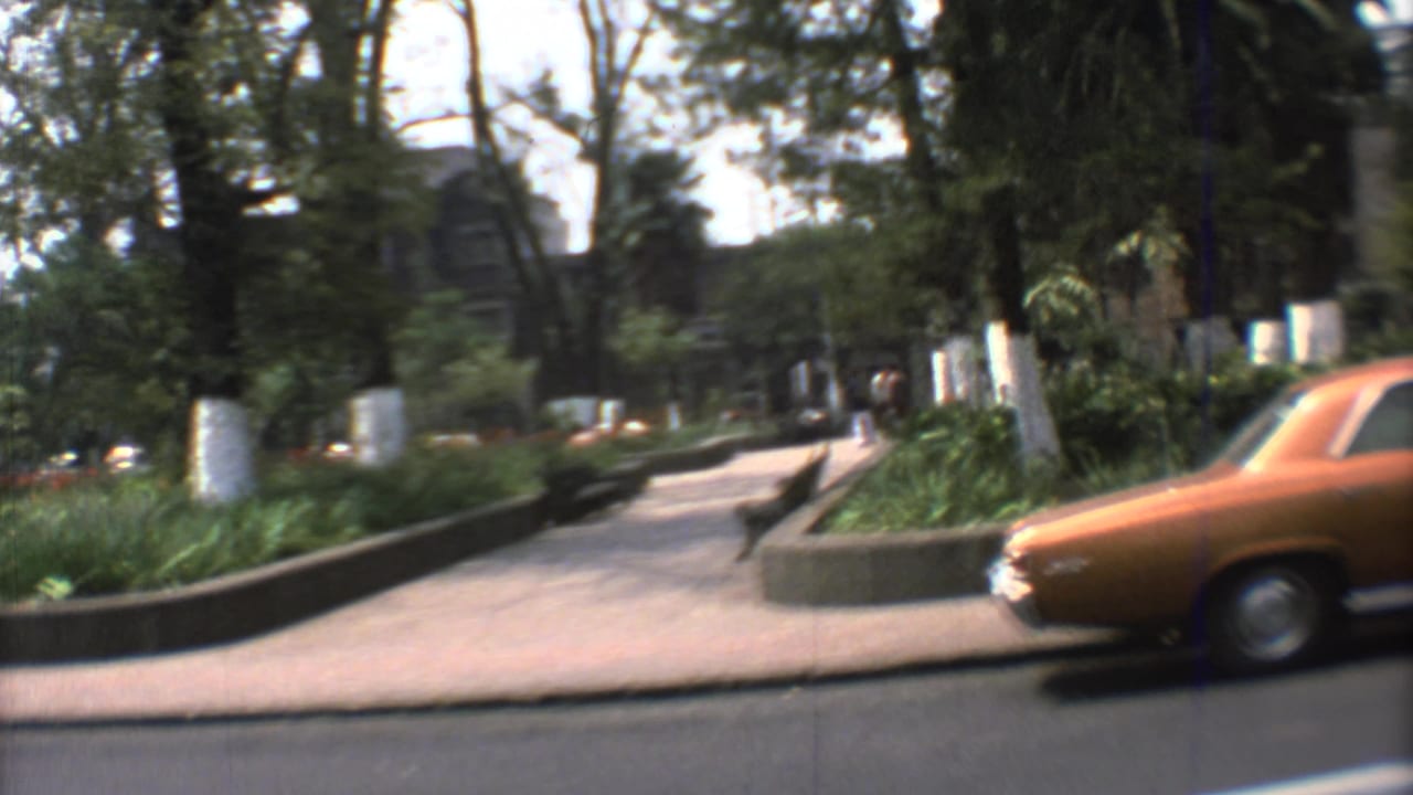 1973 Mexico City street frame with an orange sedan beside a planted median, trees, sidewalk, and distant pedestrians.