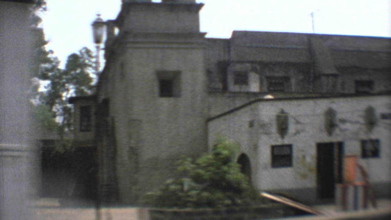 Mexico City street-side building seen from a moving car, with trees, windows, and softened 8mm exposure.