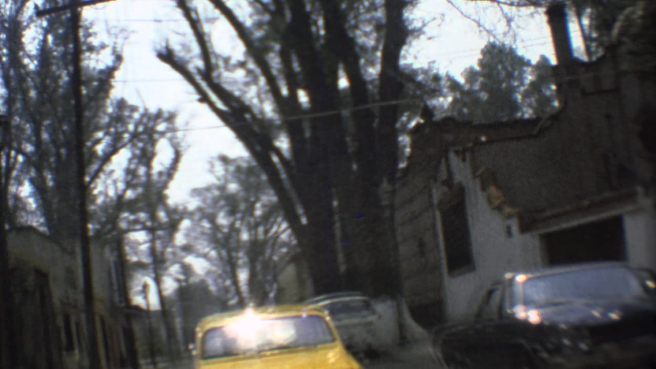 Yellow car seen on a tree-lined Mexico City street with parked vehicles and older building walls nearby.