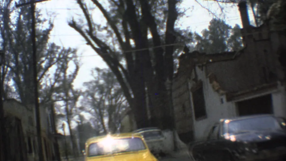 Yellow car seen on a tree-lined Mexico City street with parked vehicles and older building walls nearby.
