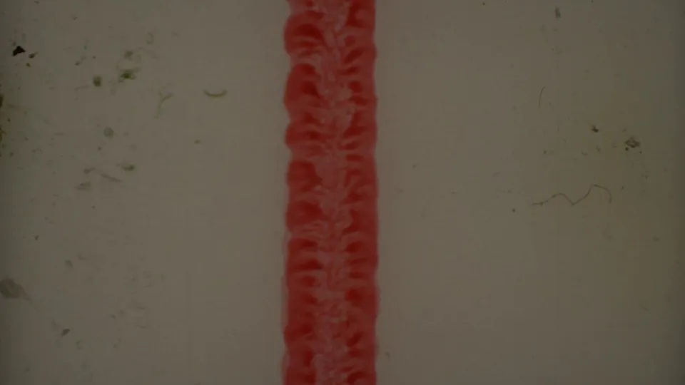 End-reel 8mm material showing a red vertical film-strip mark against pale leader, with visible dust and surface marks.