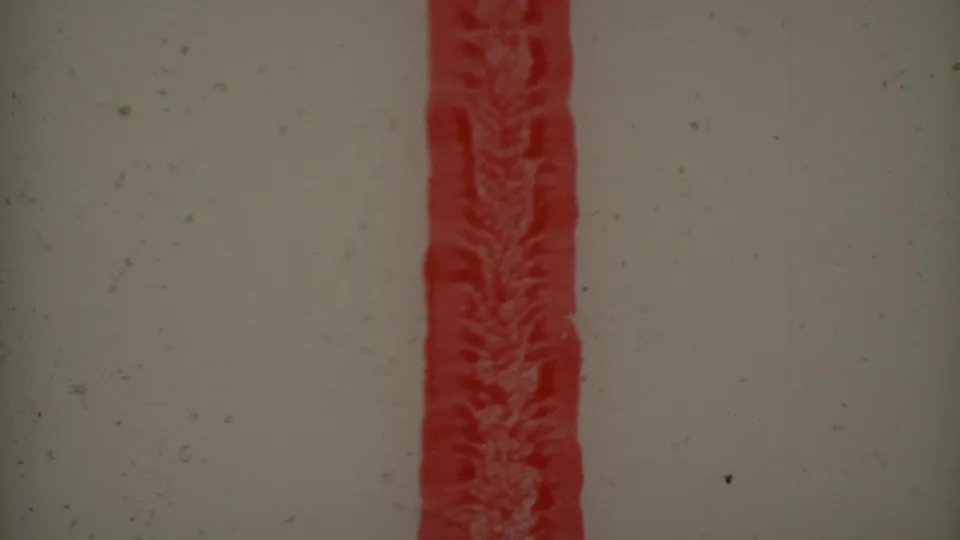 Final 8mm frame shows pale leader material with a red vertical strip, dust, and film handling marks after the street scene ends.
