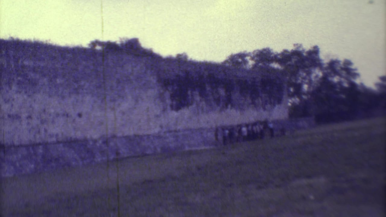 Wide view of a tall stone wall beyond grass with small visitors near its base.