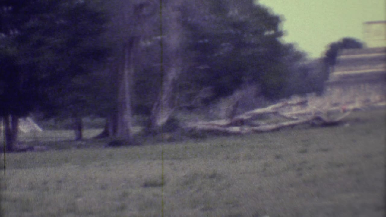 Grassy field with trees and a tan stone structure in the distance.