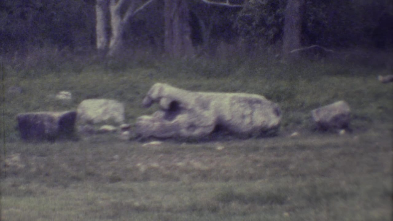 Weathered reclining stone sculpture in grass with small stone blocks nearby.