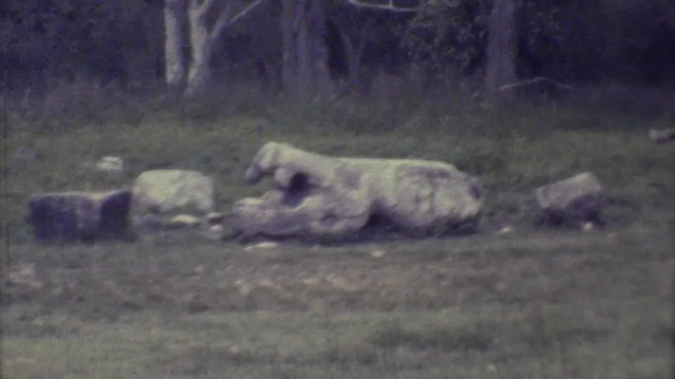 1973 Yucatan 8mm frame showing a weathered reclining stone sculpture in grass, with trees and scattered stones behind it.