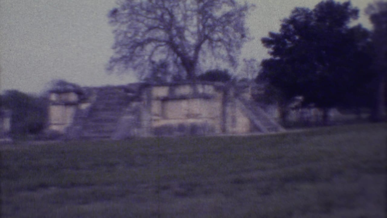 Soft 8mm view of stone ruins, steps, grass, and trees under a pale sky.