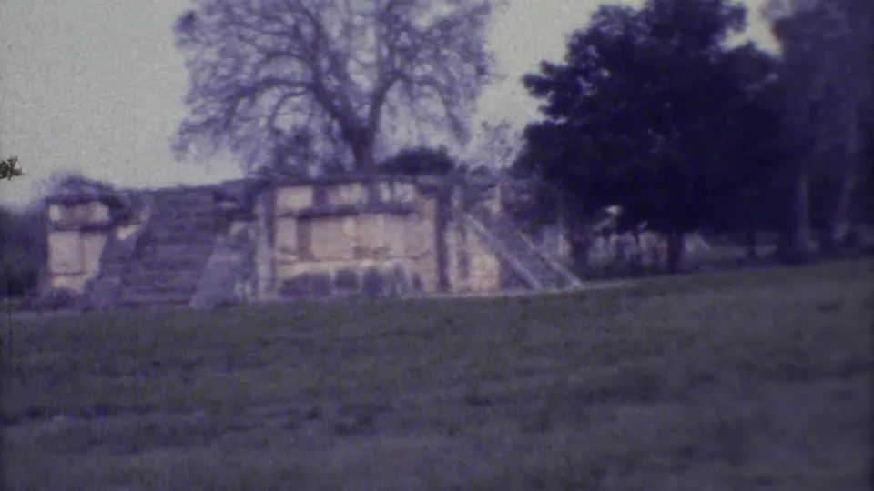 1973 Yucatan 8mm frame with low stone walls, stairways, grassy terrain, and trees at an archaeological site.