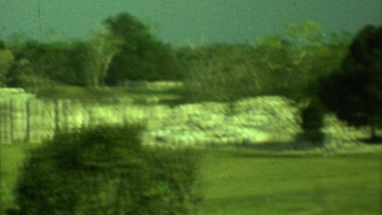Soft green field with trees and pale stone ruins in the background.