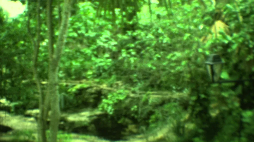 Tourists in a 1973 Yucatan forest scene appear ahead on a path near a partially obscured arched or temple-like structure.