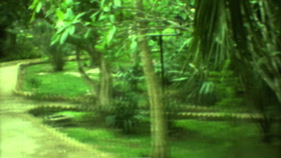 1973 Yucatan park view with winding paved path, tropical trees, lawn, and low miniature-golf-style borders.