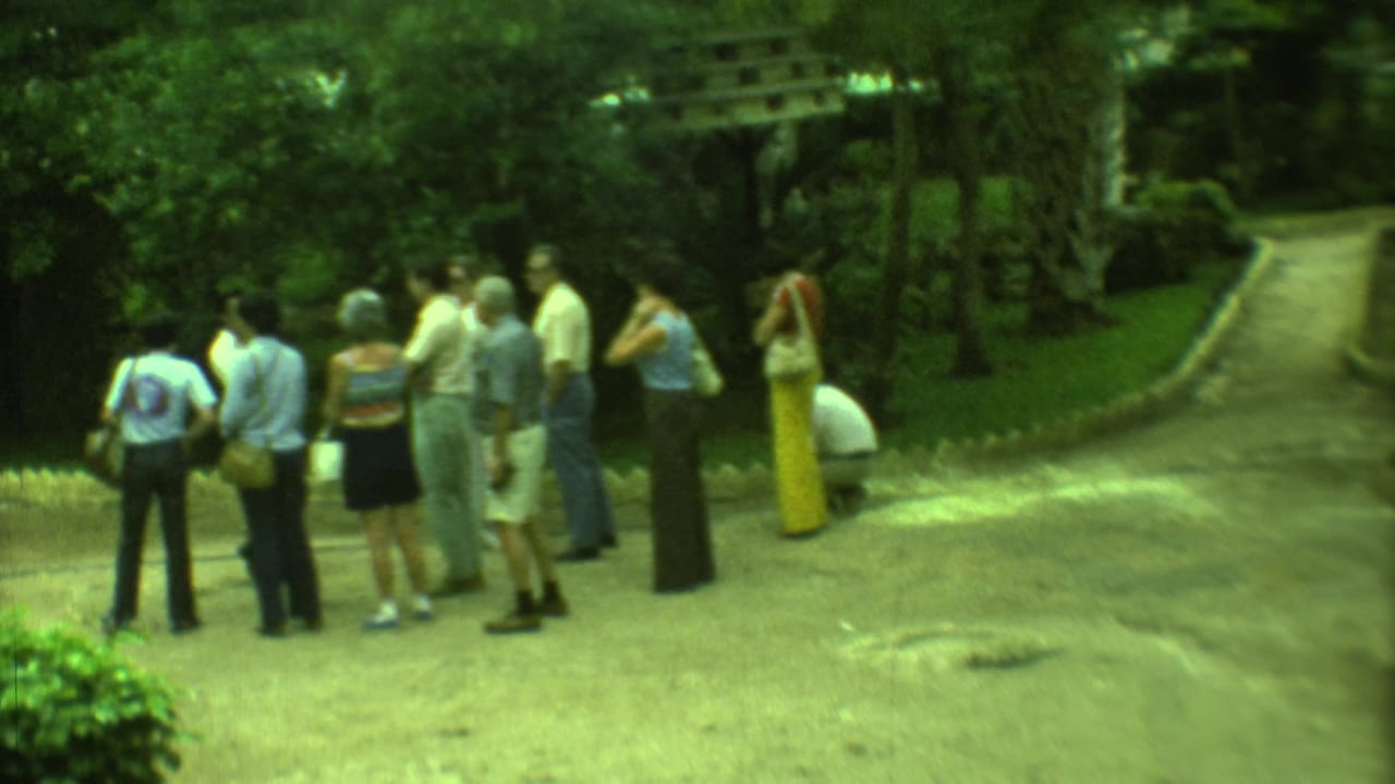 Adult visitors in casual 1970s clothing stand together on a Yucatan garden path near palms and greenery.