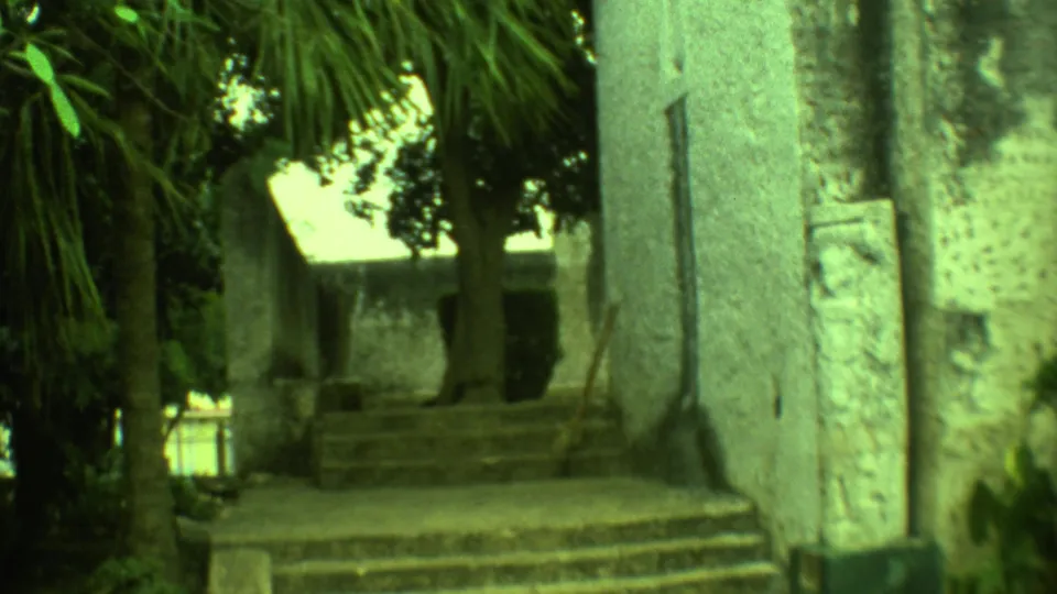 1973 Yucatan travel frame showing palm trunks, a stucco or stone wall, and worn steps in a shaded courtyard area.