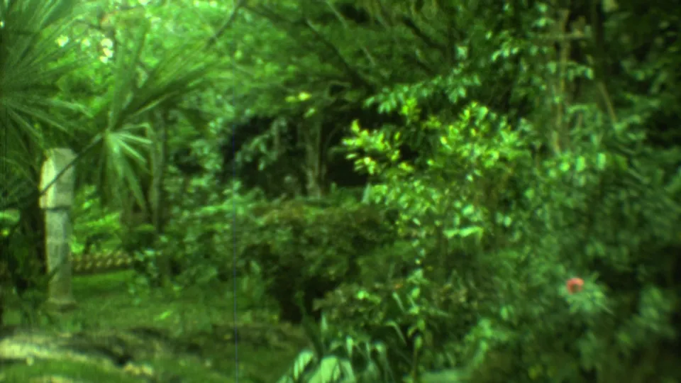 1973 Yucatan 8mm frame of a lush tropical garden beside a weathered stone or stucco building edge.