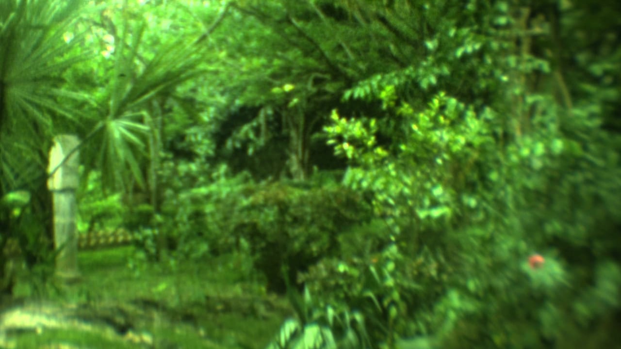 Soft green garden view with palm fronds, shrubs, grass, and a pale stone pillar.
