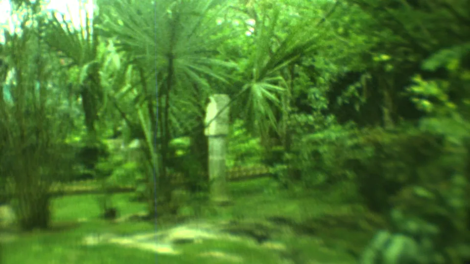 1973 Yucatan home-movie frame showing a narrow garden path, palm-like foliage, grass, and a pale stone pillar in soft 8mm focus.