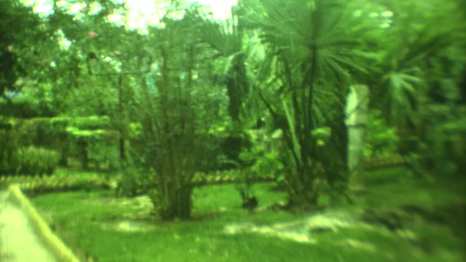 Green-tinted 1973 8mm frame of a Yucatan garden path bordered by grass, shrubs, palm-like plants, and a pale stone pillar.