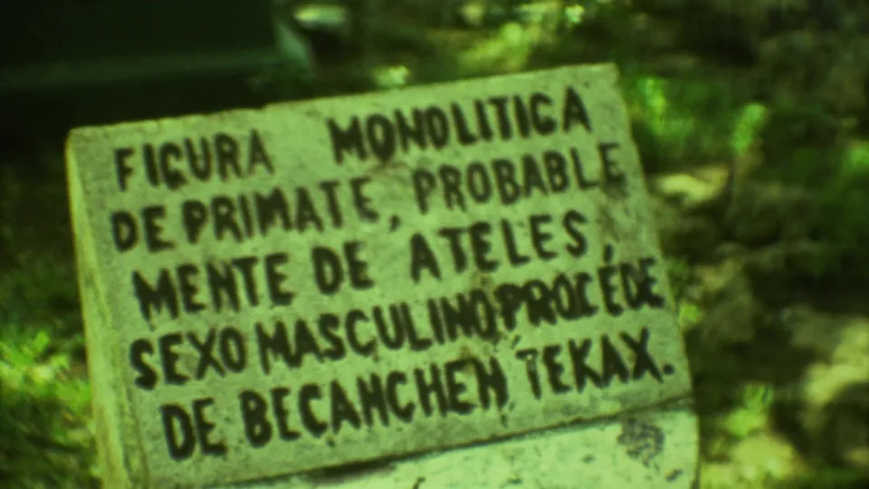 Close view of a Spanish interpretive sign identifying a monolithic primate figure, with surrounding greenery at the Yucatan site.
