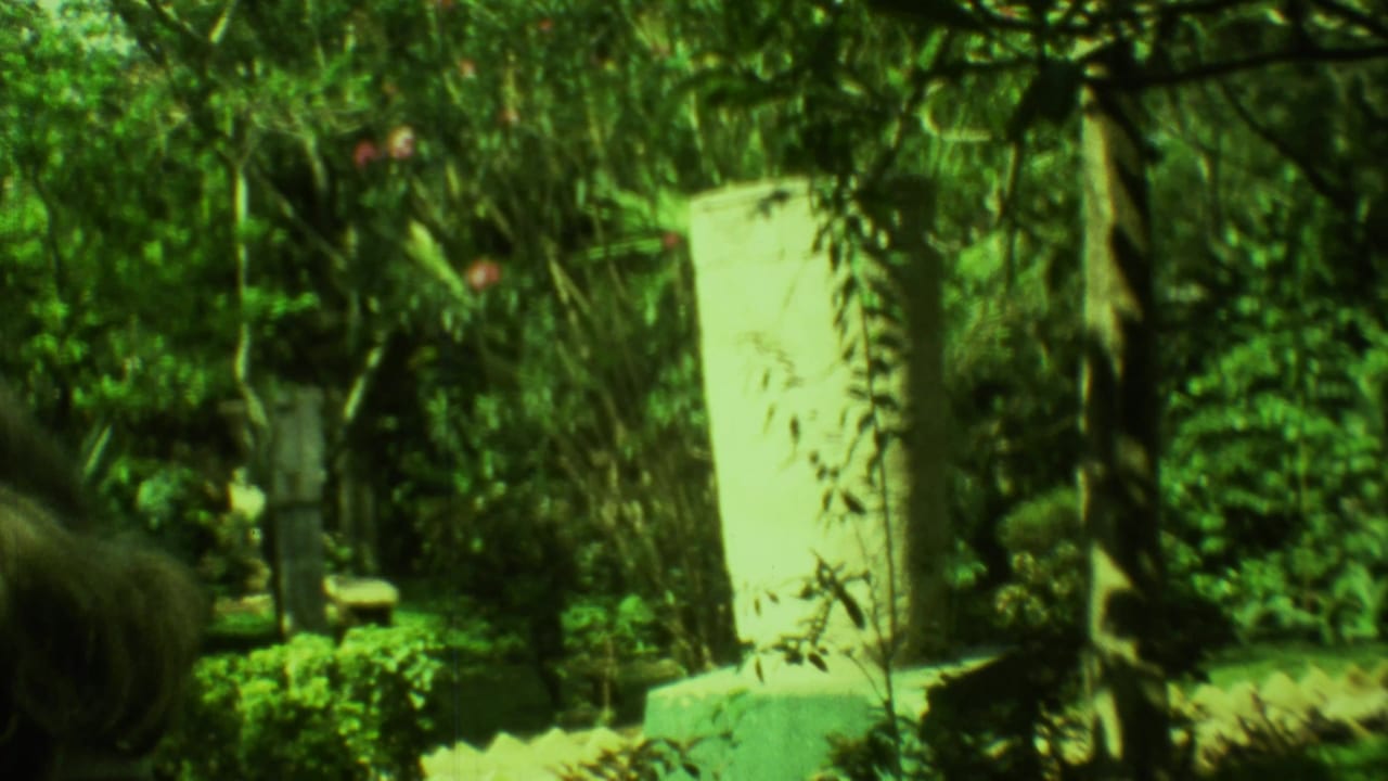 Man walking near a pale stone slab in a dense garden setting.