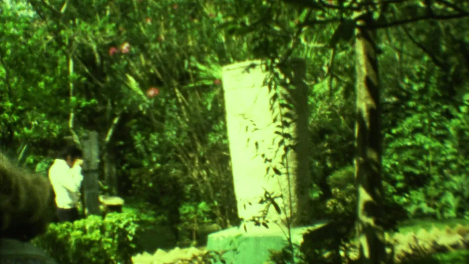A visitor in a light shirt stands or walks among tropical plants and stone features in Yucatan, Mexico, in 1973 footage.