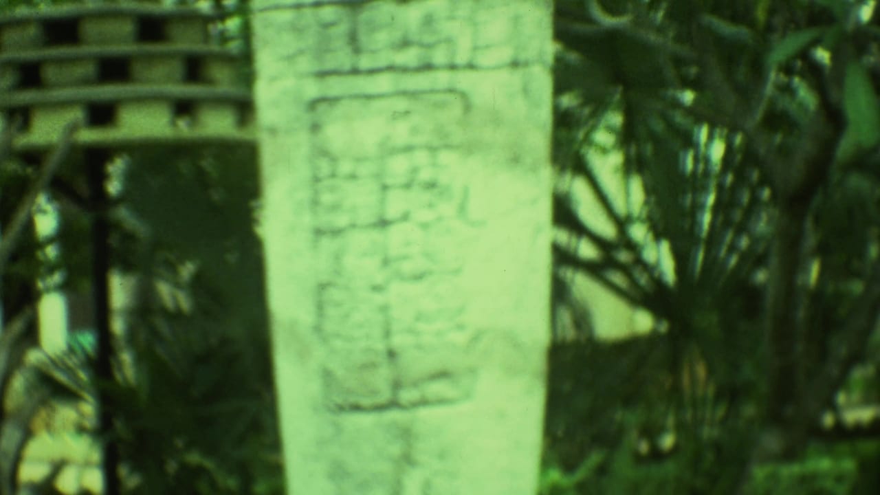 Close 8mm view of a weathered carved stone monument at a Yucatan site, with tropical plants and a small structure behind it.