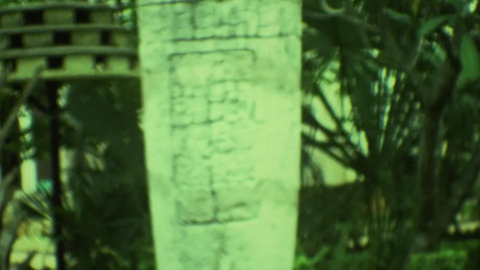 Close 8mm view of a weathered carved stone monument at a Yucatan site, with tropical plants and a small structure behind it.