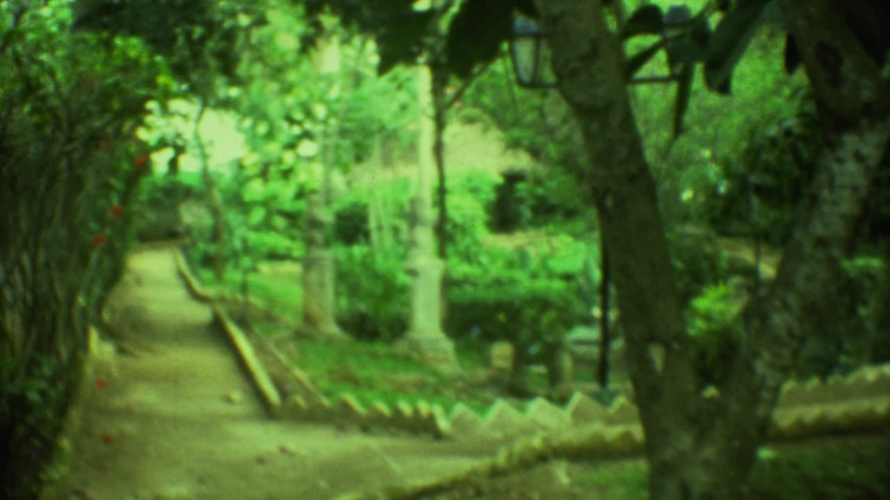 1973 Yucatan 8mm view of a cemetery pathway with low stone edging, trees, shrubs, and a distant white grave marker.