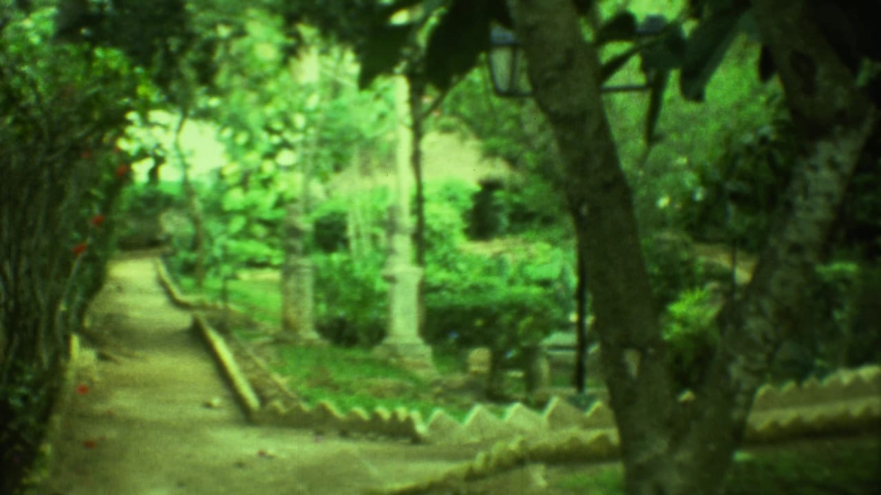 Cemetery walkway with trees, shrubs, stone border, and a white cross marker.