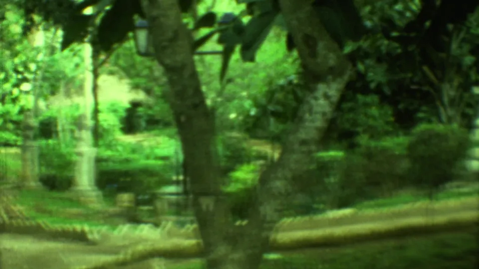 Soft 8mm frame of the cemetery walkway passing under trees, with pale edging, shaded plants, a bench, and a distant grave marker.