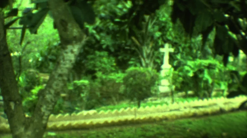 A white cross-shaped grave marker stands among dense greenery in the Yucatan cemetery, beside a path with low pale stonework.
