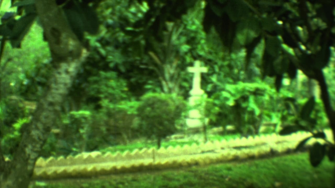 White stone cross seen through dark leaves in a green tropical garden.