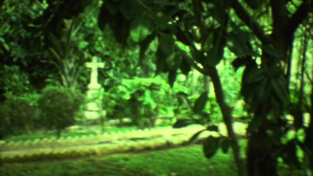 Leafy branches frame a distant white cross and low garden path.